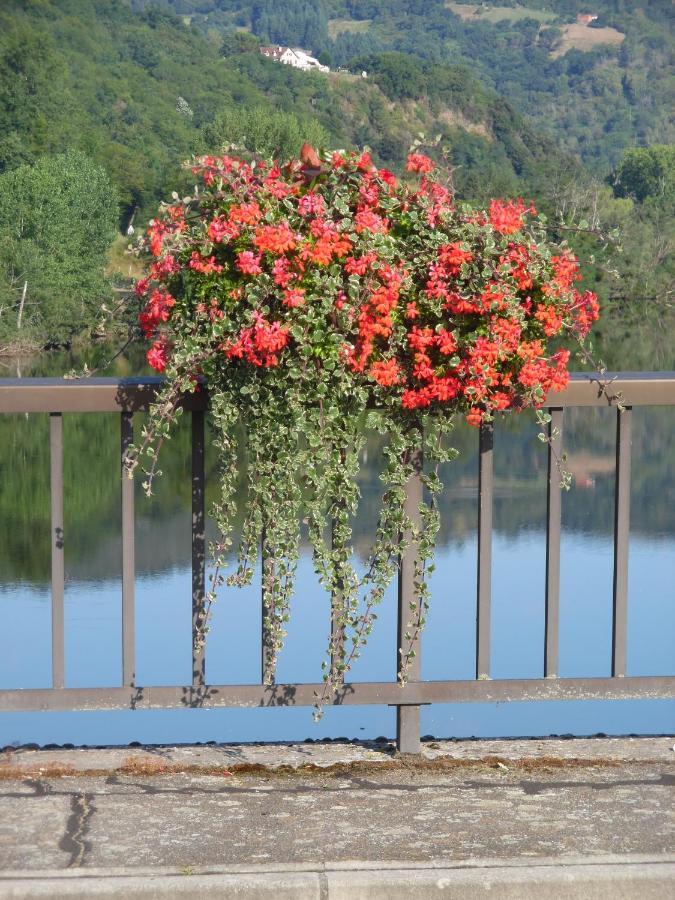 Le Pont De Livinhac Hotel Decazeville Luaran gambar
